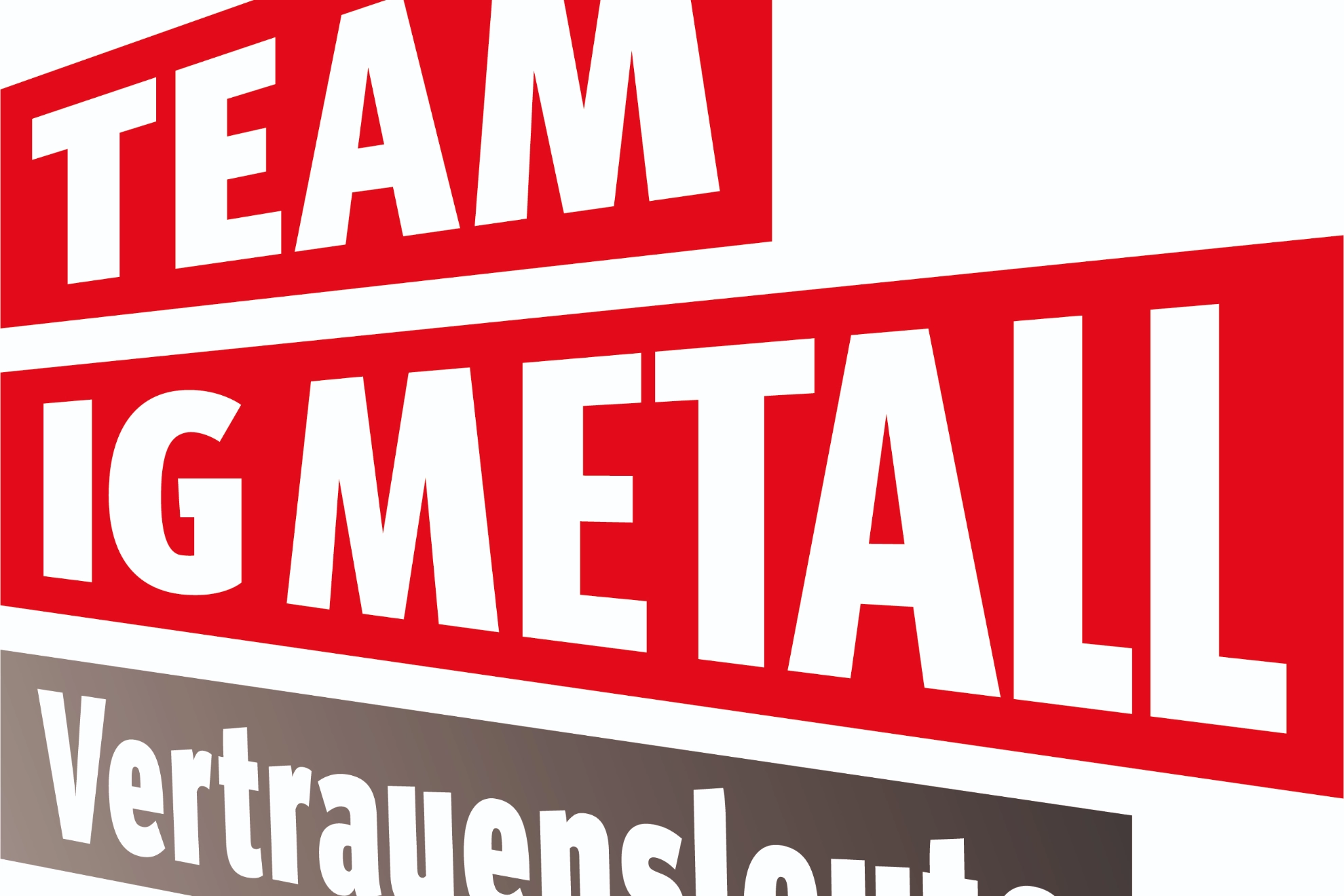 Logo Team IG Metall Vertrauensleute