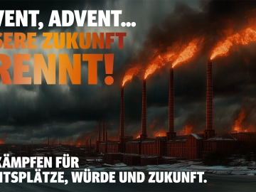 Schluss mit Kahlschlag!