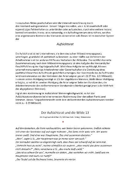 Der Aufsichtsrat und die Wilde 13